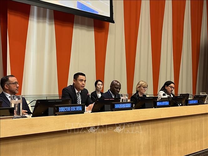 Countries hail Vietnamese role in implementing SDGs